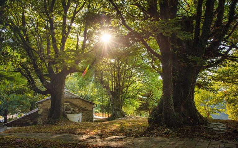September in Pelion
